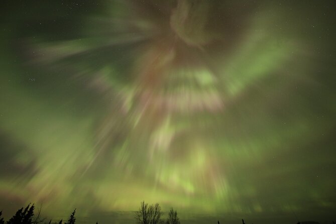 1 Day Shared Tour Arctic Circle and Aurora Viewing in Alaska - Key points before you book