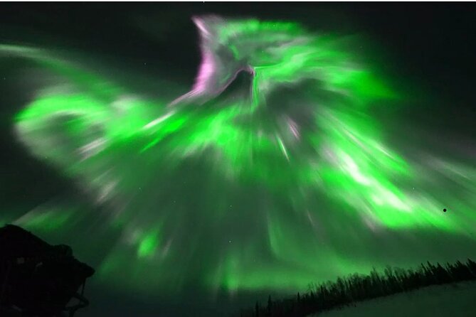 1 Day Shared Tour Arctic Circle and Aurora Viewing in Alaska - One long road to the Arctic Circle
