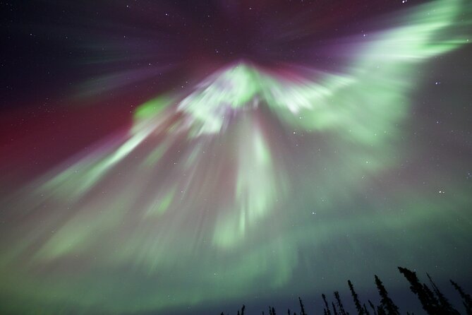1 Day Shared Tour Arctic Circle and Aurora Viewing in Alaska - Reaching the Arctic Circle monument