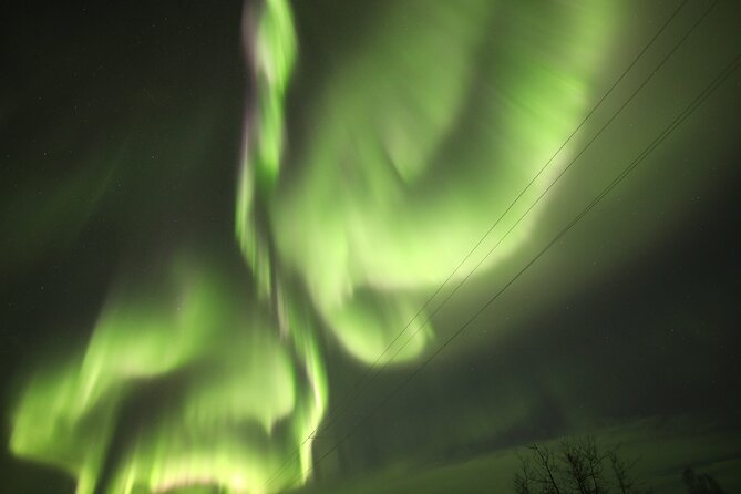 1 Day Shared Tour Arctic Circle and Aurora Viewing in Alaska - The return journey is when the aurora chase begins