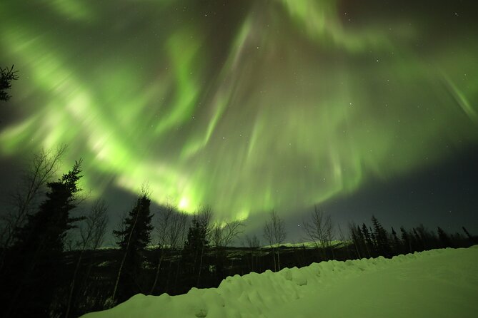 1 Day Shared Tour Arctic Circle and Aurora Viewing in Alaska - Sultan’s guiding style and photography help