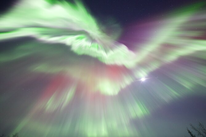 1 Day Shared Tour Arctic Circle and Aurora Viewing in Alaska - Elliott Highway and the first taste of Alaska’s north