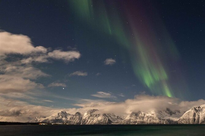 24hr Northern Lights & Whale Watching Cruise - Leaving Tromsø at 8 PM