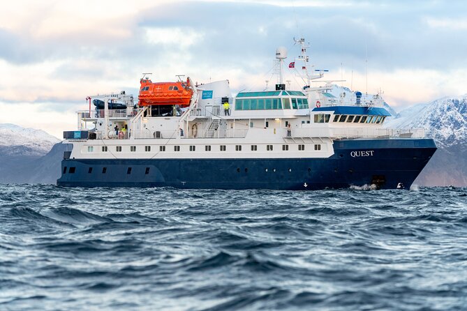 24hr Northern Lights & Whale Watching Cruise - Chasing the Northern Lights from the water
