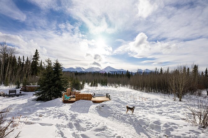 3-day Yukon Northern Lights Adventure - Whitehorse arrival and the first evening at the lodge