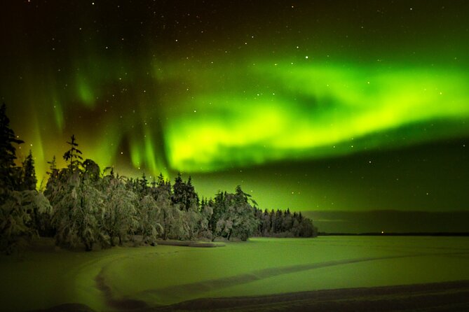 3-Hour Snowmobile Safari to Search Northern Lights in Levi - Driving Rules, Damage Costs, and Group Size