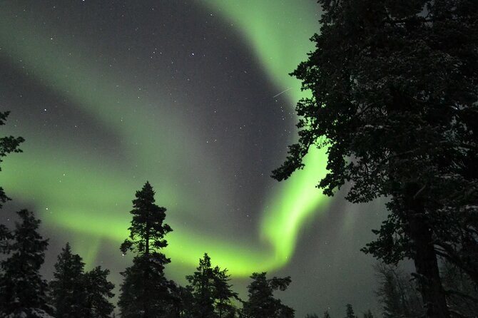 3-Hour Snowmobile Safari to Search Northern Lights in Levi - Family Rules and Passenger Options
