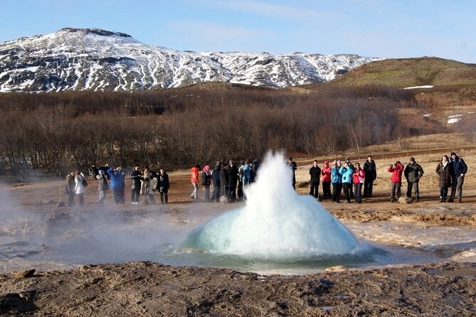 5-Days Land of Northern Lights Tour from Reykjavík - Day four: horses, hot springs, Gullfoss, and Alþingi