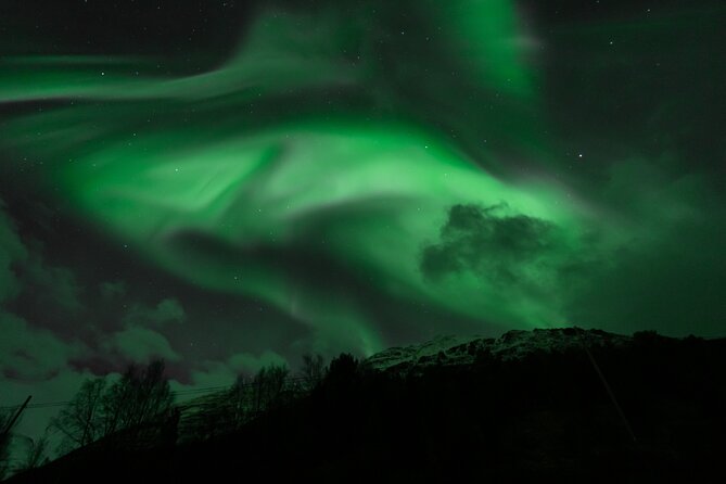 7 hours Tromsø Aurora Tour: Photos, snacks & warm drinks included - Why a Tromsø Aurora Bus Tour Makes Sense