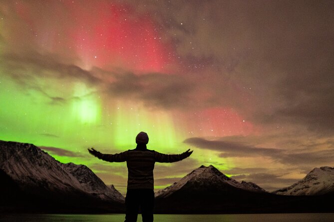 7 hours Tromsø Aurora Tour: Photos, snacks & warm drinks included - Following the Search Beyond Tromsø