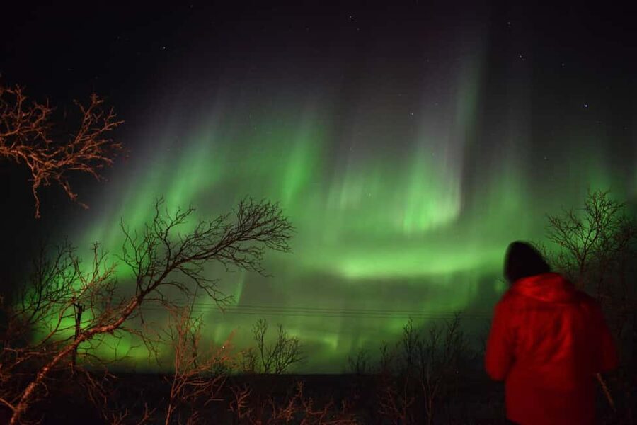 Abisko Arctic Ecology and Northern Lights Tour - The minibus ride and the secret stop