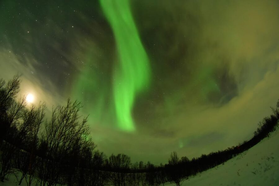 Abisko: Aurora Chasing with Snowmobiles - Key points to know before booking