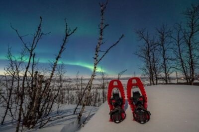 Aurora Snowshoeing