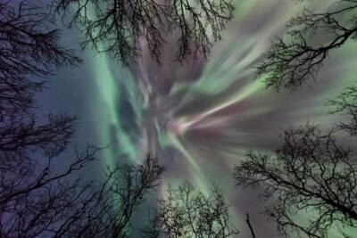 Guided Autumn Aurora Chase with Hotel Transfers