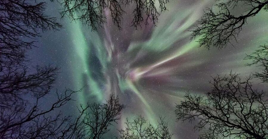 Abisko: Guided Autumn Aurora Chase with Hotel Transfers - What to bring for a comfortable evening