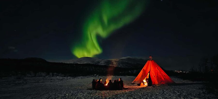 Abisko: Northern Lights Hike with Husky Puppies - Key points at a glance