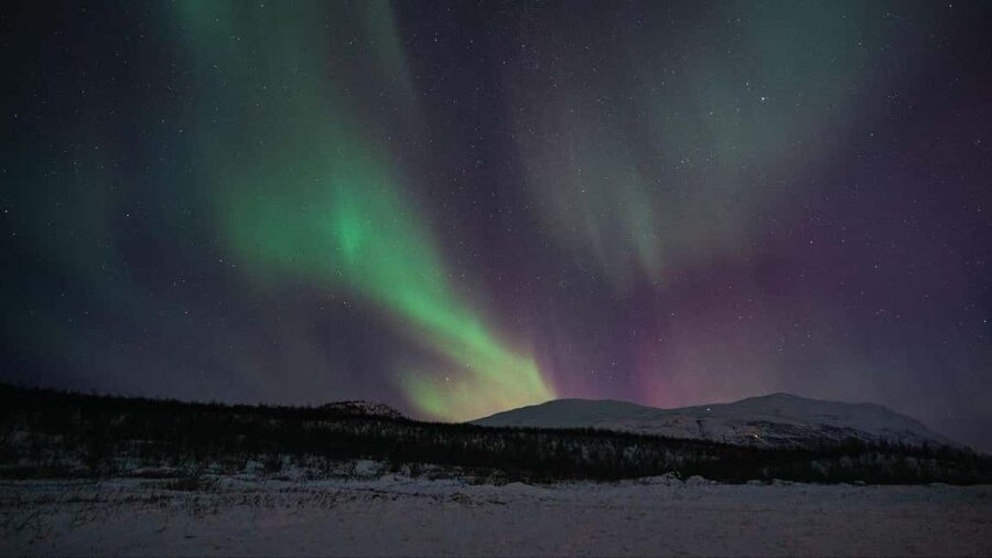 Abisko: Northern Lights Hike with Husky Puppies - Why this Abisko evening works so well