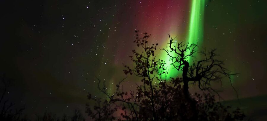 Abisko: Northern Lights Hike with Husky Puppies - Warming up inside the Sámi-style tipi