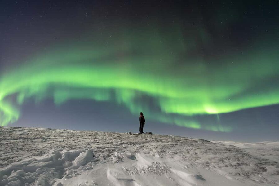Abisko: Northern Lights Photography Tour with Dinner - Who should book this Abisko night tour?