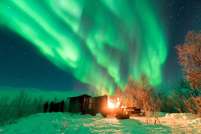 Abisko Northern Lights Tour with Photographer - Photography help and included pictures