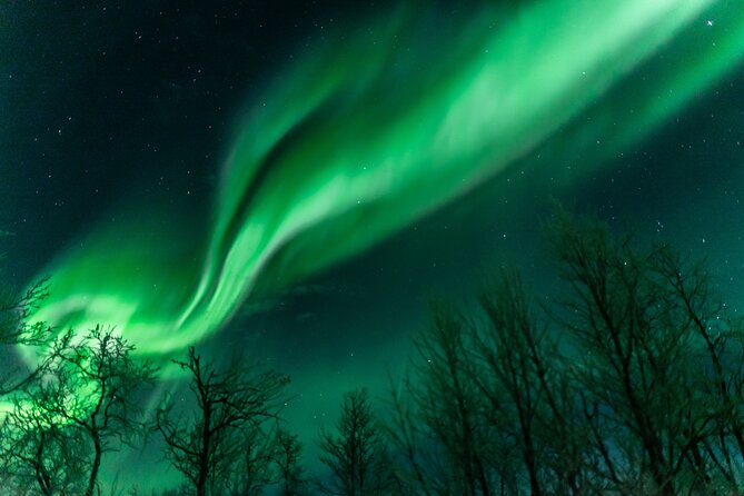 Abisko Northern Lights Tour with Photographer - Waiting for the Aurora Borealis
