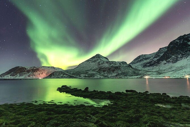 Adults Only Aurora Hunt with Wandering Owl - Key points to know before you book
