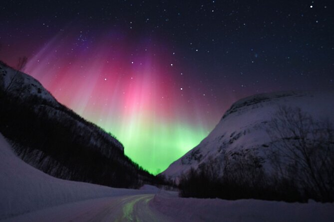 Adults Only Aurora Hunt with Wandering Owl - Photography: a valuable extra with one important caution
