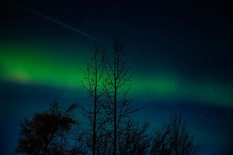 Akureyri: Northern Lights Hunt with Forest Lagoon Entry - The Eyjafjord northern lights hunt