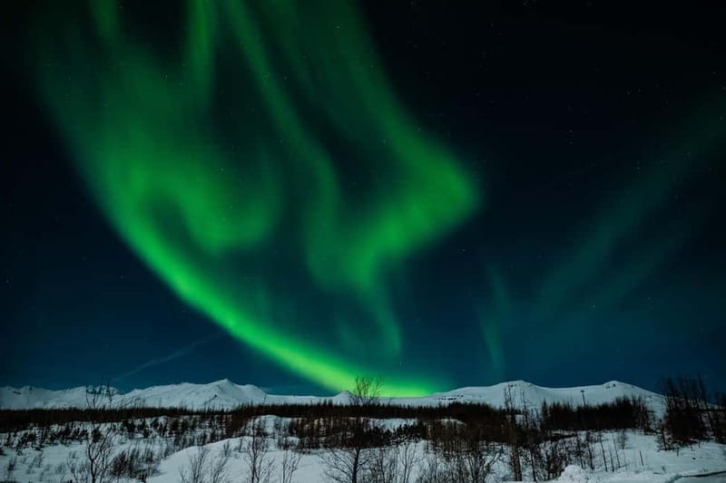 Akureyri: Northern Lights Hunt with Forest Lagoon Entry - Who should book this evening