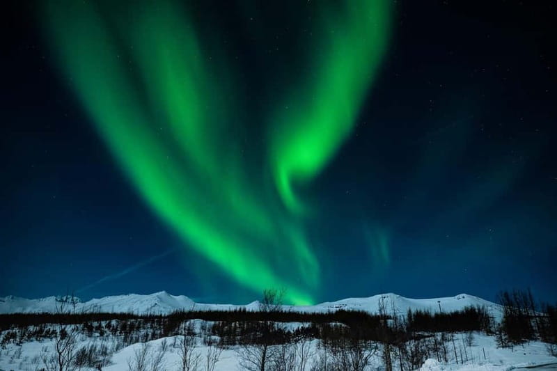 Akureyri: Northern Lights Hunt with Forest Lagoon Entry - Tips for getting more from the five hours