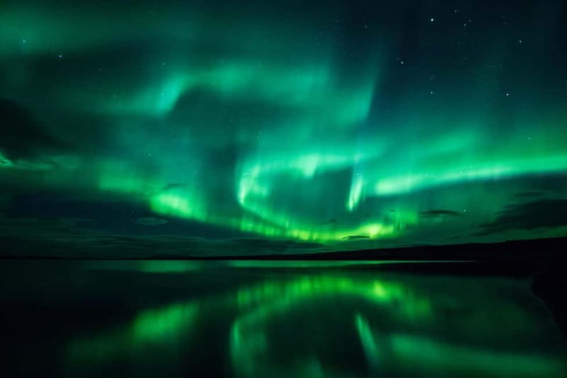 Akureyri: Northern Lights Hunt with Forest Lagoon Entry - Should you book the Forest Lagoon and aurora hunt?