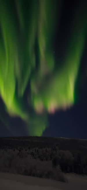 Alaska: Private Northern Lights Viewing Tour - The photography package is a major benefit