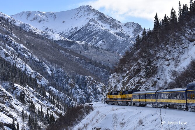 Alaska Railroad Aurora Winter Anchorage to Fairbanks One Way - Food, snacks, and making 12 hours comfortable