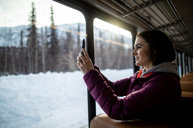 Alaska Railroad Aurora Winter Fairbanks to Anchorage One Way - Why this Fairbanks to Anchorage train ride makes sense