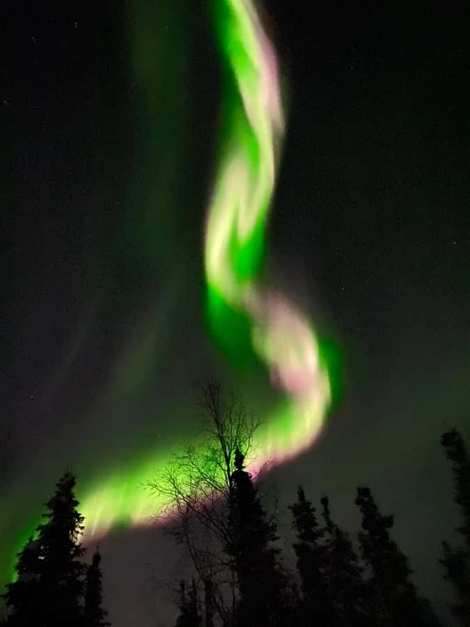 Alaskan Northern Lights/Aurora Borealis Lodges - Bonfires, cookies, and simple comforts