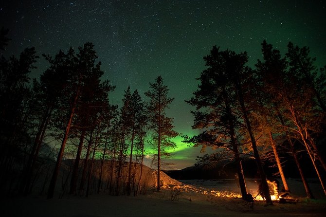 All inclusive - Northern Lights Hunt - Setting up beside a fjord, beach, or quiet roadside
