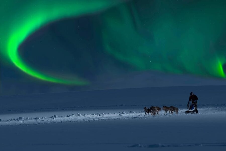 Alta: Dog Sledding Trip under the Northern Lights - The dogs and the people behind the trip