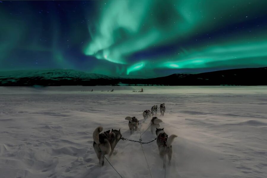 Alta: Dog Sledding Trip under the Northern Lights - Getting dressed for Arctic conditions