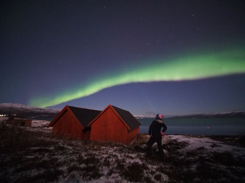 Alta: Small-Group Guided Northern Lights Tour - Why Alta is a strong base for aurora hunting