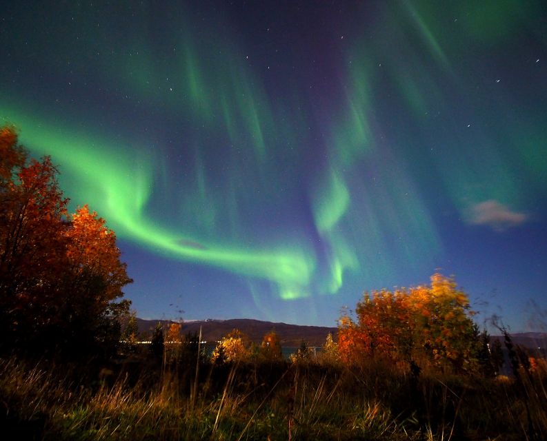 Alta: Small-Group Guided Northern Lights Tour - Taking Northern Lights photographs