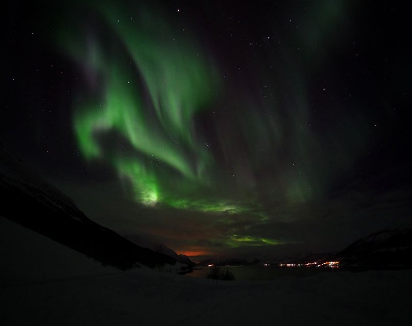 Alta: Small-Group Guided Northern Lights Tour - How the $251 price holds up