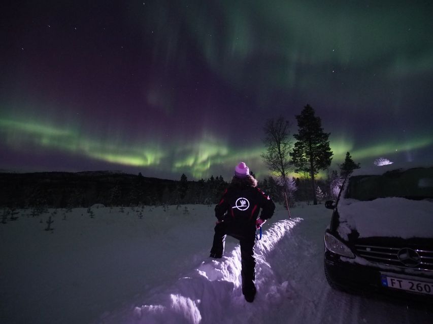 Alta: Small-Group Guided Northern Lights Tour - Who will enjoy this outing most