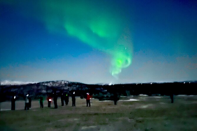Alta: The Northern Lights Bus – a comfortable Arctic journey - Bus comfort, car groups, and group size