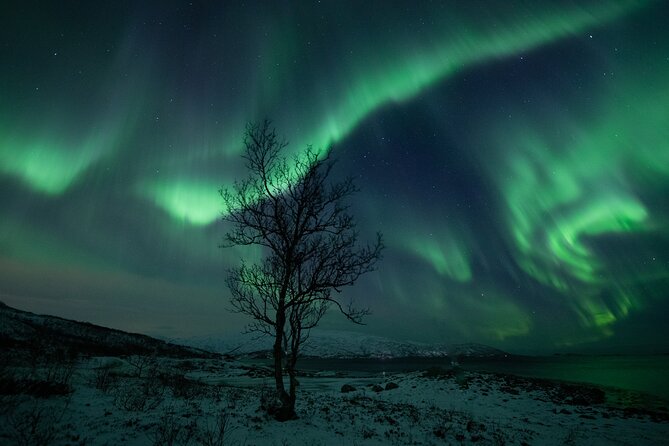 An All-Inclusive Tour - Aurora & Arctic Experience - Aurora photography, with an important catch