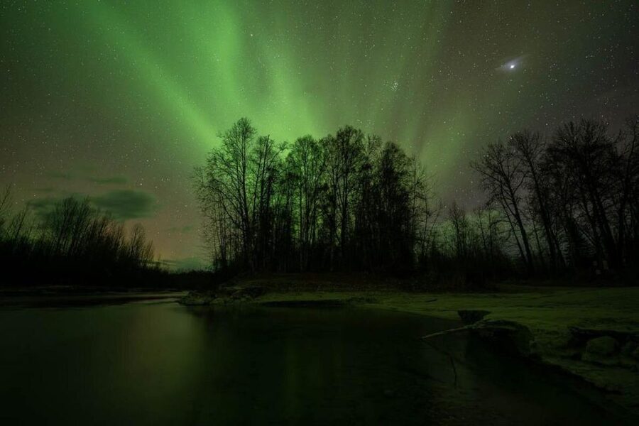 Anchorage: Aurora Borealis Northern Lights Photography Tour - What happens when you leave the vehicle