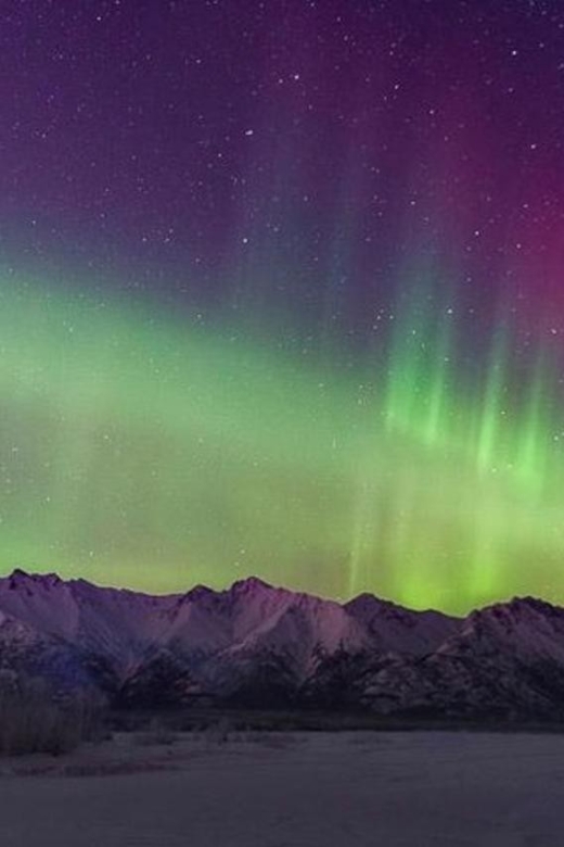 Anchorage: Aurora Borealis Northern Lights Photography Tour - How much value you get for $312
