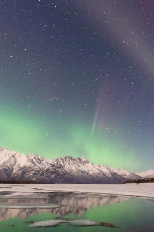 Anchorage: Nighttime Northern Lights Tour - Into the Alaskan wilderness