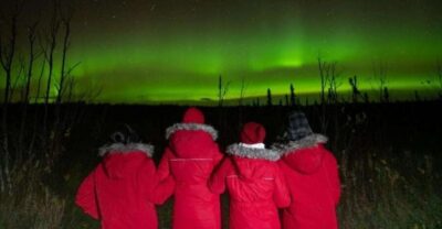 Nighttime Northern Lights Tour