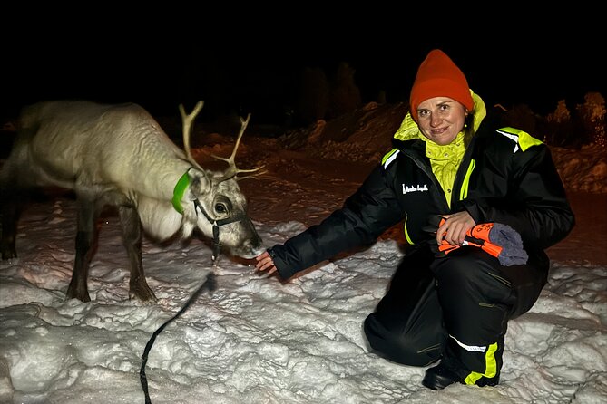 Arctic Adventure with Reindeer and Northern Lights Hunt 18:30 pm - From Kiruna to Övre-Soppero after dark