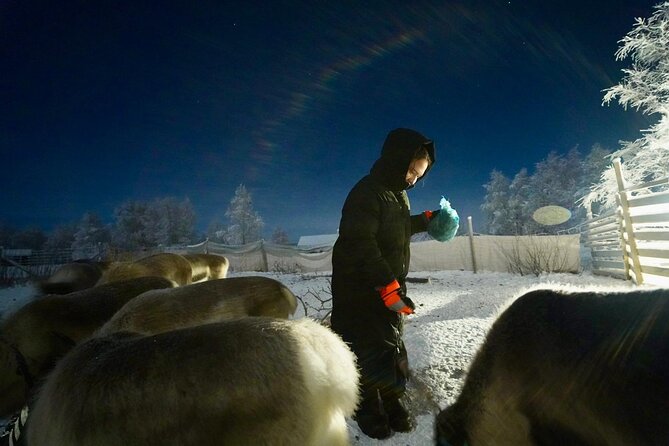 Arctic Adventure with Reindeer and Northern Lights Hunt 18:30 pm - Searching for the Northern Lights
